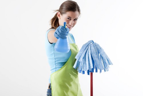 Professional sofa cleaning in Enfield Highway in a modern living room