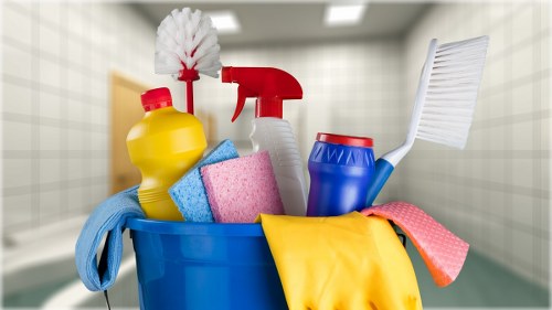 Carpet cleaning service for a home in Enfield Highway