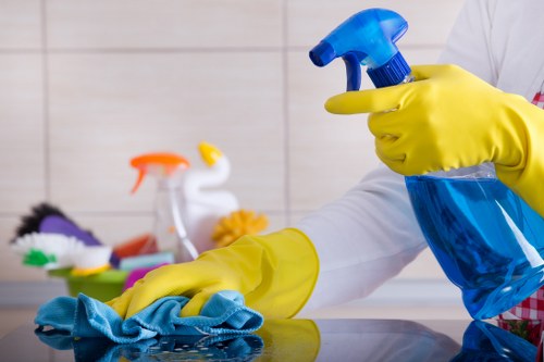 Carpet cleaning quote discussion for a home in Enfield Highway