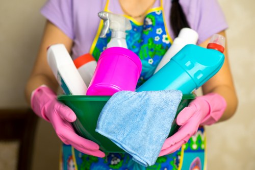 Professional carpet cleaners following a safe work routine