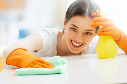 Professional carpet cleaning in Enfield Highway living room