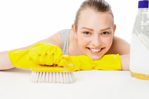 Customer reviewing booking details for a carpet cleaning service