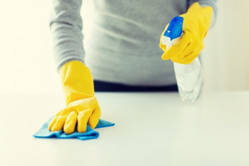 Cleaner assessing a room before carpet cleaning work begins
