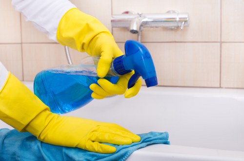 Stain removal and deep carpet cleaning in Enfield Highway