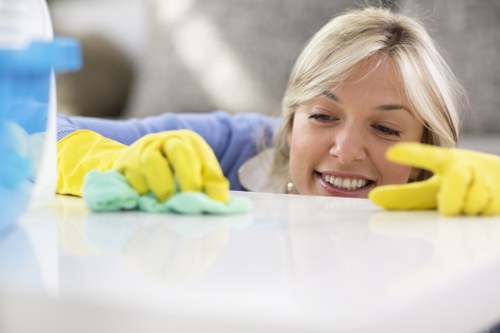 Local upholstery cleaning service in Enfield Highway for sofas and chairs