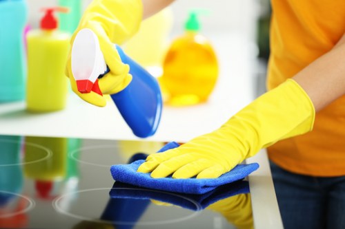 Comparing DIY and professional stain removal methods