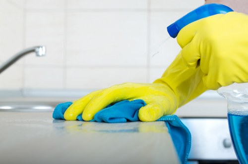 Technician performing sofa cleaning in Enfield Highway