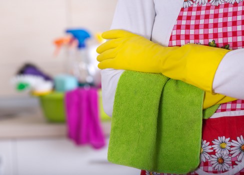 Deep rug cleaning process for homes in Enfield Highway