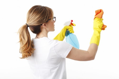 Common household stains needing treatment in Enfield Highway