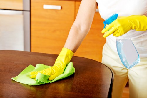 Cleaner sofa and healthier home environment in Enfield Highway